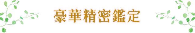 豪華細密鑑定